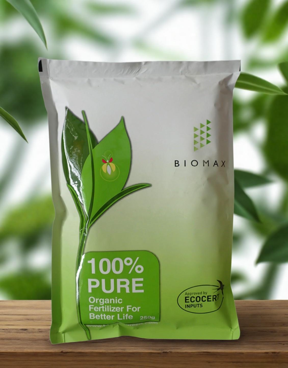 Imai Kaho - Hành Trình Trở Thành Biểu Tượng Trong Lĩnh Vực Nghệ Thuật Và Đời Sống